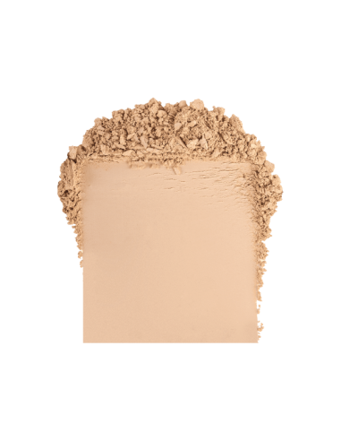 Skin Editor Matte Finishing Powder PT263 005 - Topface