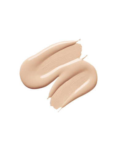 Fond de teint BB Skin Editor Matte Finish PT462 004 - Topface