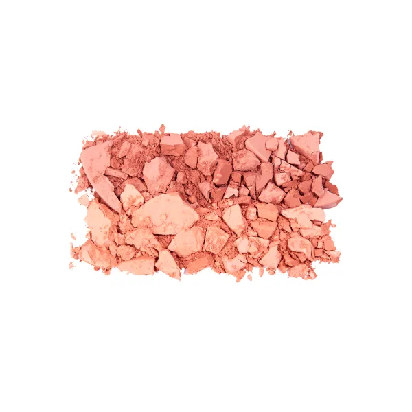 Instyle twin blush on pt353-005- topface