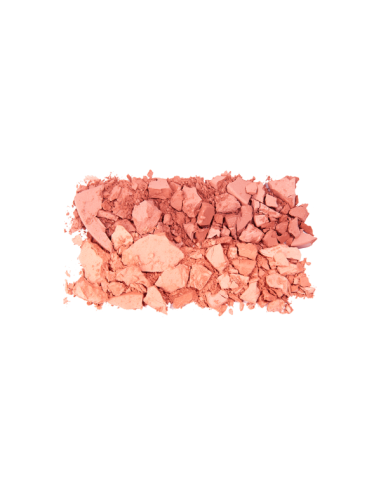 Topface Instyle Twin Blush On PT353 N°005 | Duo de blush