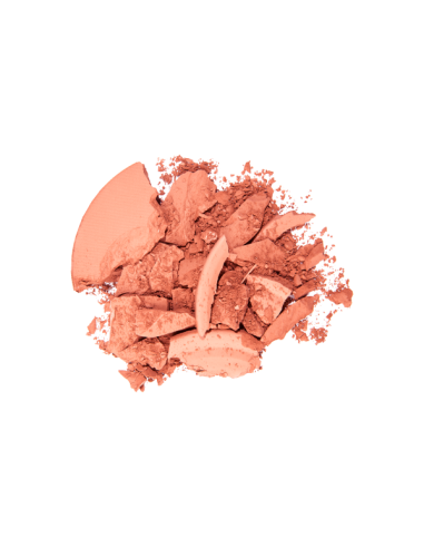 Instyle Blush On TopFace PT354 005 - TopFace
