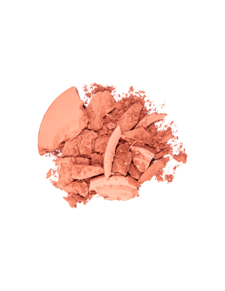 Instyle Blush On TopFace PT354 005 - TopFace