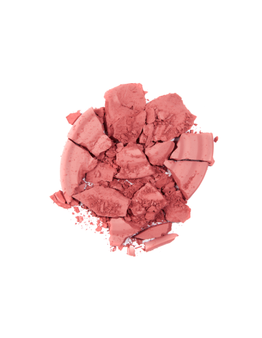 Instyle Blush On TopFace PT354 010 - TopFace