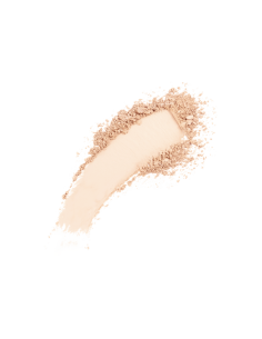Fond de teint poudre instyle wet & dry powder pt261 002 - topface