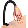 Main de pratique d'entraîneur d'ongle avec support