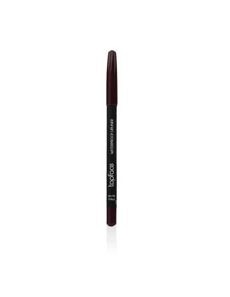 Crayon à lèvres Topface Waterproof PT613 115
