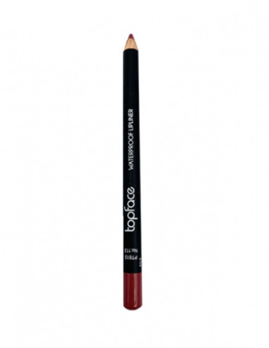 Crayon à lèvres Topface Waterproof PT613 113