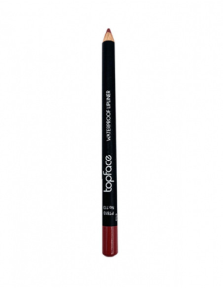 Crayon à lèvres Topface Waterproof PT613 113
