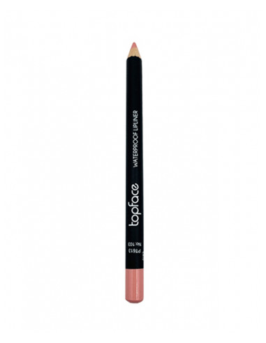 Crayon à lèvres Topface Waterproof PT613 103