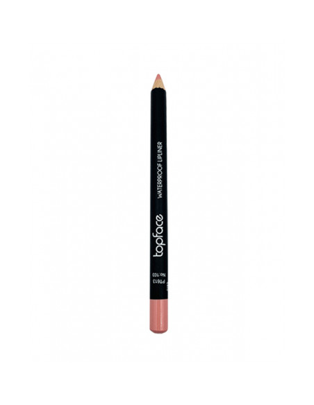 Crayon à lèvres Topface Waterproof PT613 103