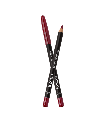 Crayon à lèvres Topface Waterproof PT613 113