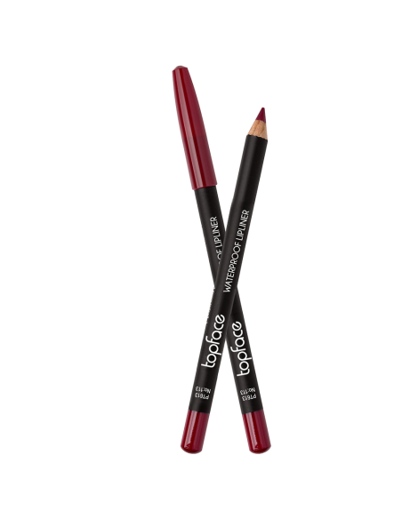 Crayon à lèvres Topface Waterproof PT613 113