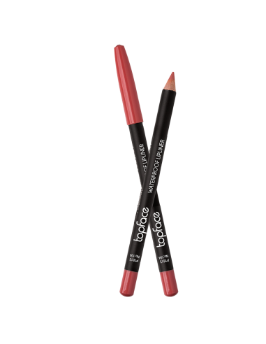 Crayon à lèvres Topface Waterproof PT613 104