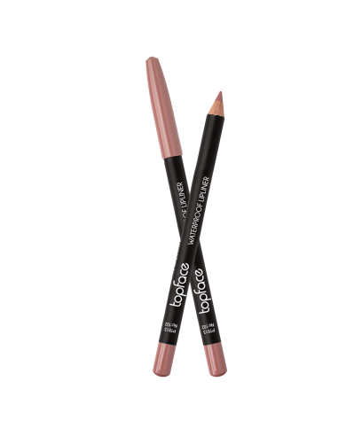 Crayon à lèvres Topface Waterproof PT613 102