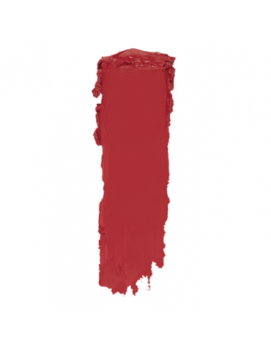 Rouge à lèvres mat Topface Instyle PT155 017