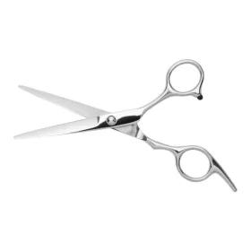 Ciseaux de coiffeur professionnel