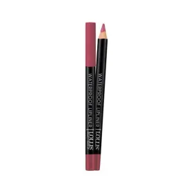 Lollis Lipliner waterproof N°206