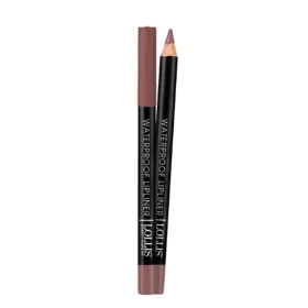 Lipliner waterproof N°202 - Lollis