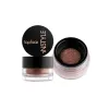 Topface - Instyle loose eyeshadow high pigment pt511-110
