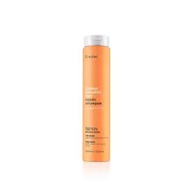 Erayba always beautiful hair shampooing réparateur 250ml