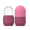 Moule à glaçons en silicone pour les soins de beauté et de peau