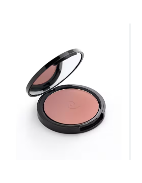 Pierre Cardin Porcelain Edition Blush On modern ballet 709