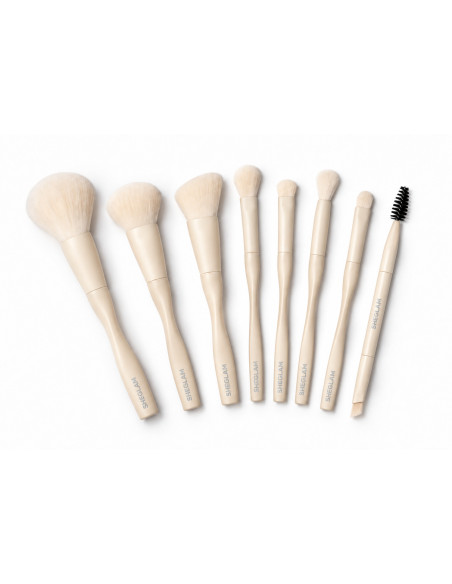 SHEGLAM Pro Core Kit de 8 pinceaux visage et yeux