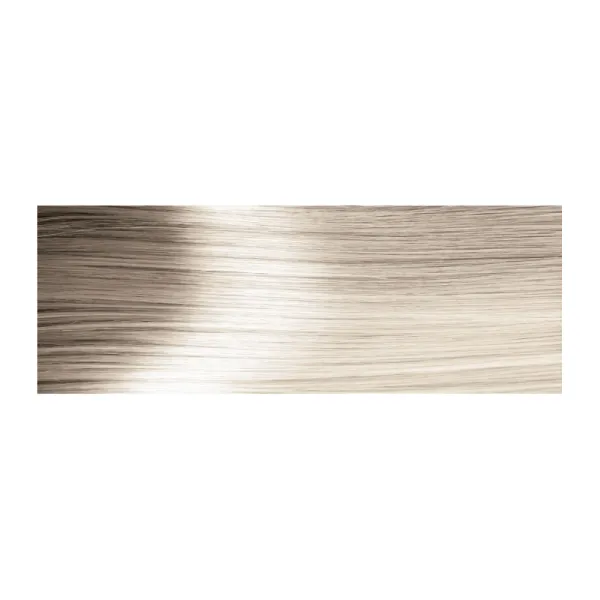 Shampoing colorant 10.1 silver blonde 40 ml - cameleo