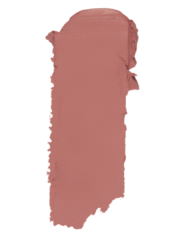 ROUGE A LEVRE INSTYLE MAT TOPFACE 003 PT155