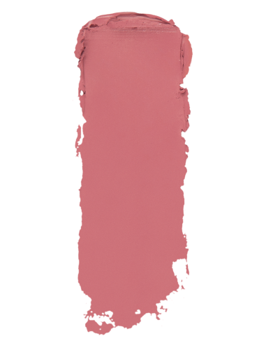 ROUGE A LEVRE INSTYLE MAT TOPFACE 005