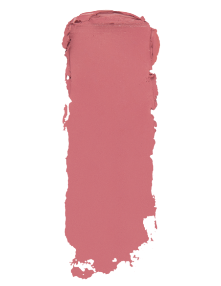 ROUGE A LEVRE INSTYLE MAT TOPFACE 005