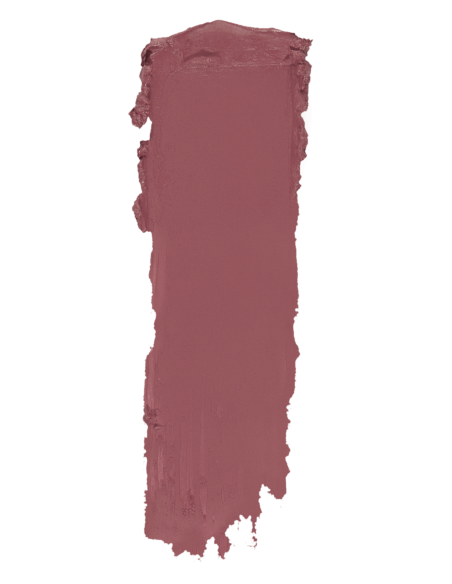 ROUGE A LEVRE INSTYLE MAT TOPFACE 009 PT155