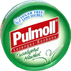EUCALYPTUS MENTHOL PASTILLES SANS SUCRES 45 G-PULMOLL