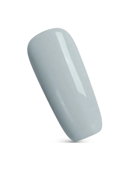 Lasting Color Nail Enamel PT104 -090 -TopFace